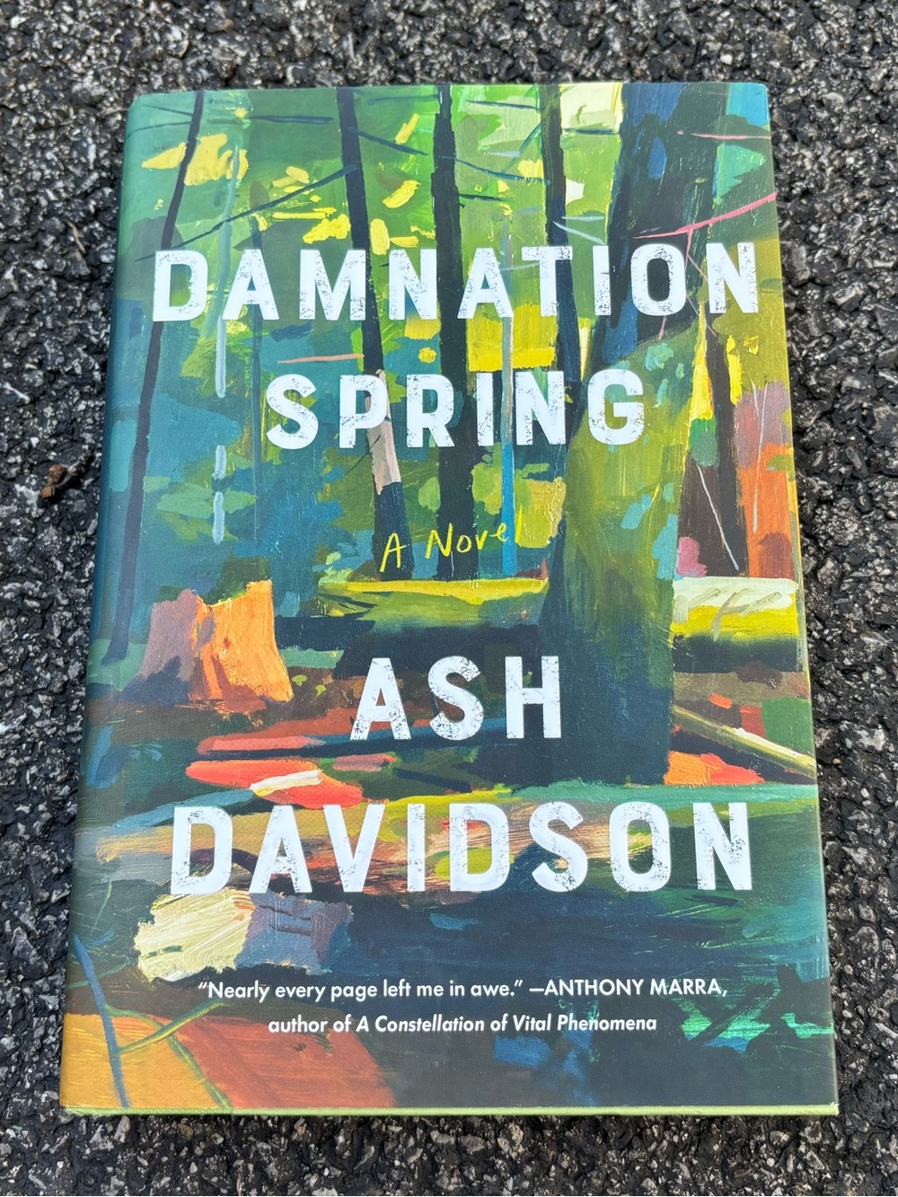 Damnation Spring by Ash Davidson - Colorful Forest Cover